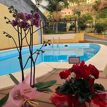 Casa Palmeiras Lägenhet Calheta (Madeira)